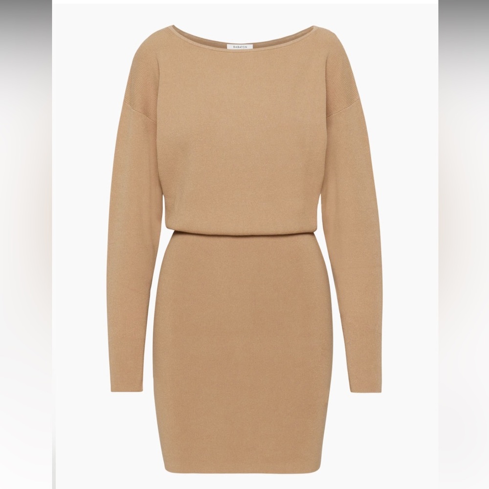 Aritzia Babaton Continent Dress